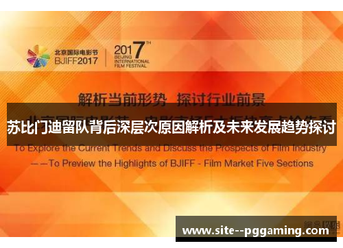 苏比门迪留队背后深层次原因解析及未来发展趋势探讨