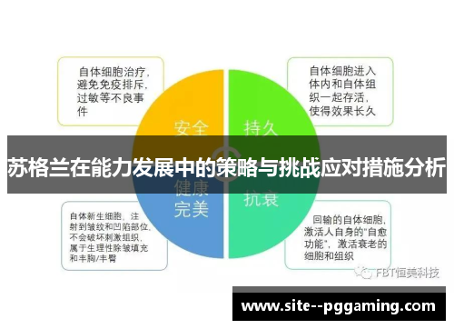 苏格兰在能力发展中的策略与挑战应对措施分析