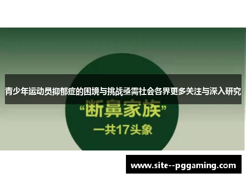 青少年运动员抑郁症的困境与挑战亟需社会各界更多关注与深入研究