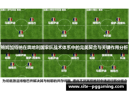 鲍姆加特纳在奥地利国家队战术体系中的完美契合与关键作用分析 鲍姆加特纳在奥地利国家队战术体系中的完美契合与关键作用分析