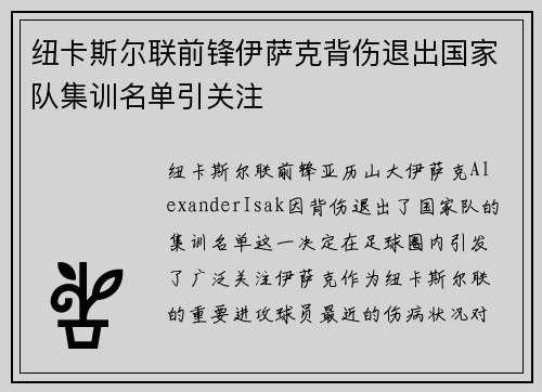 纽卡斯尔联前锋伊萨克背伤退出国家队集训名单引关注 纽卡斯尔联前锋伊萨克背伤退出国家队集训名单引关注