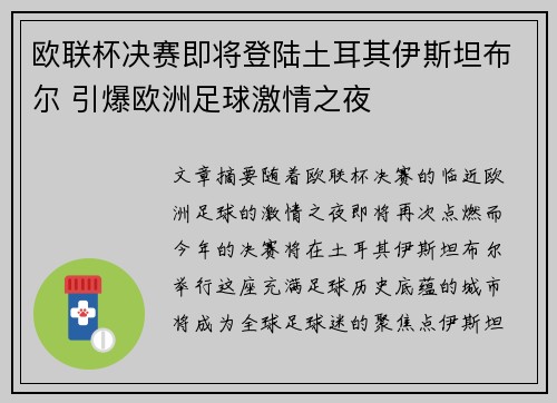欧联杯决赛即将登陆土耳其伊斯坦布尔 引爆欧洲足球激情之夜